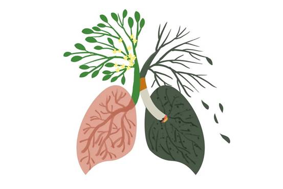 57f029a831c24f526c1bdec3bbc72529